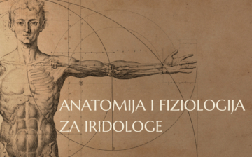 Anatomija i fiziologija za iridologe